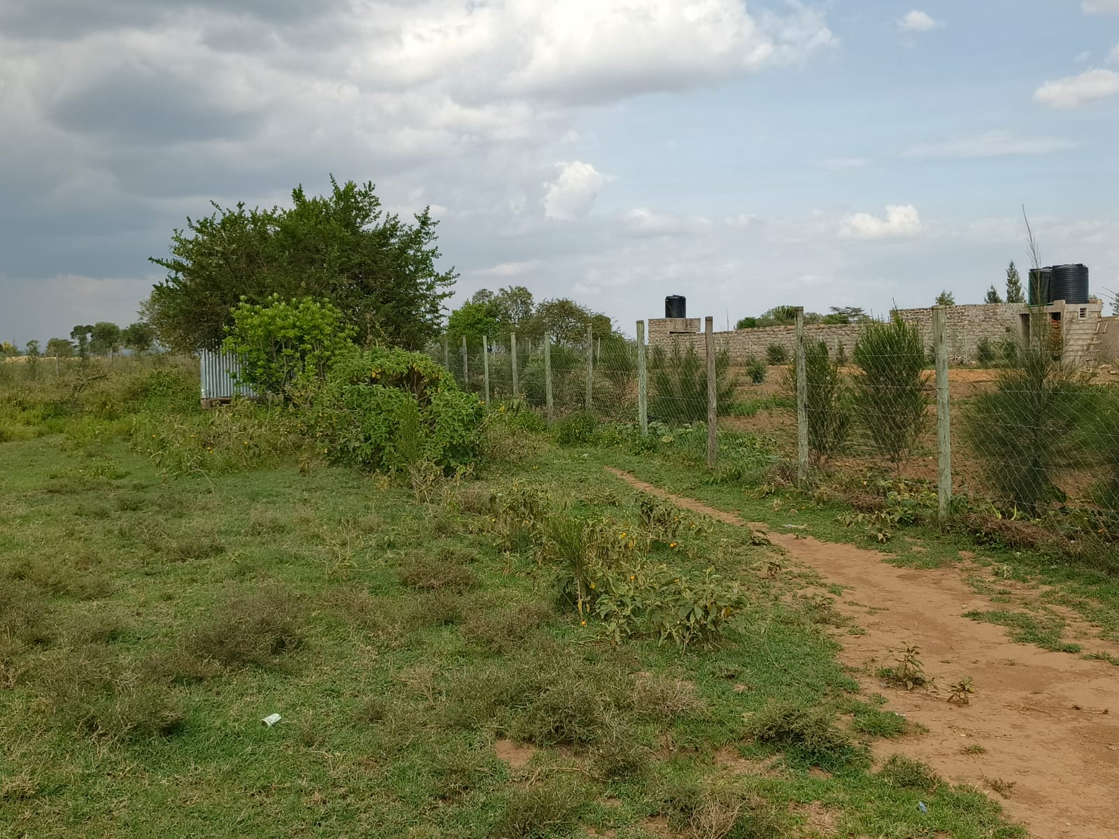 Acacia Estate thumbnail 2